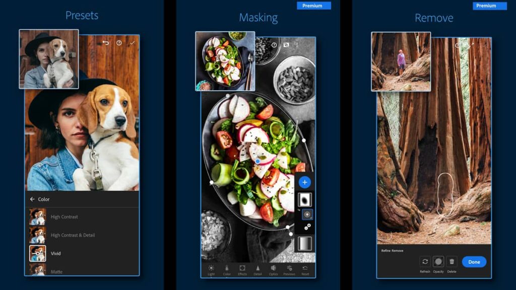 Picture-Perfect: Unlock Your Potential with Best Image Editing Apps 9 Lightroom Photo & Video Editor - best image editing apps