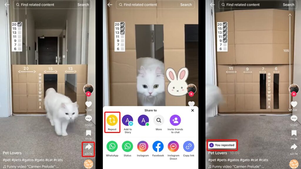 How to Undo a Repost on TikTok: Fix Your Feed 1 Undo a Repost on TikTok
