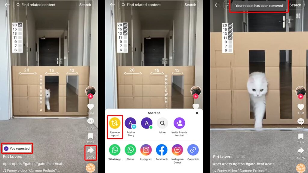 How to Undo a Repost on TikTok: Fix Your Feed 2 Undo a Repost on TikTok