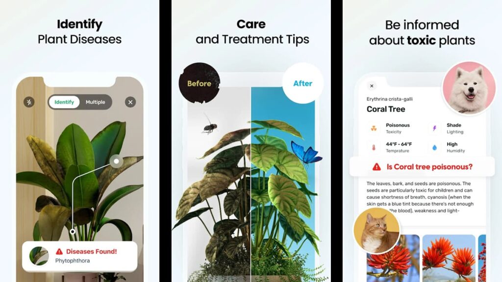 Green Thumb Guide: Learn Gardening with These Top Apps! 1 apprendre le jardinage