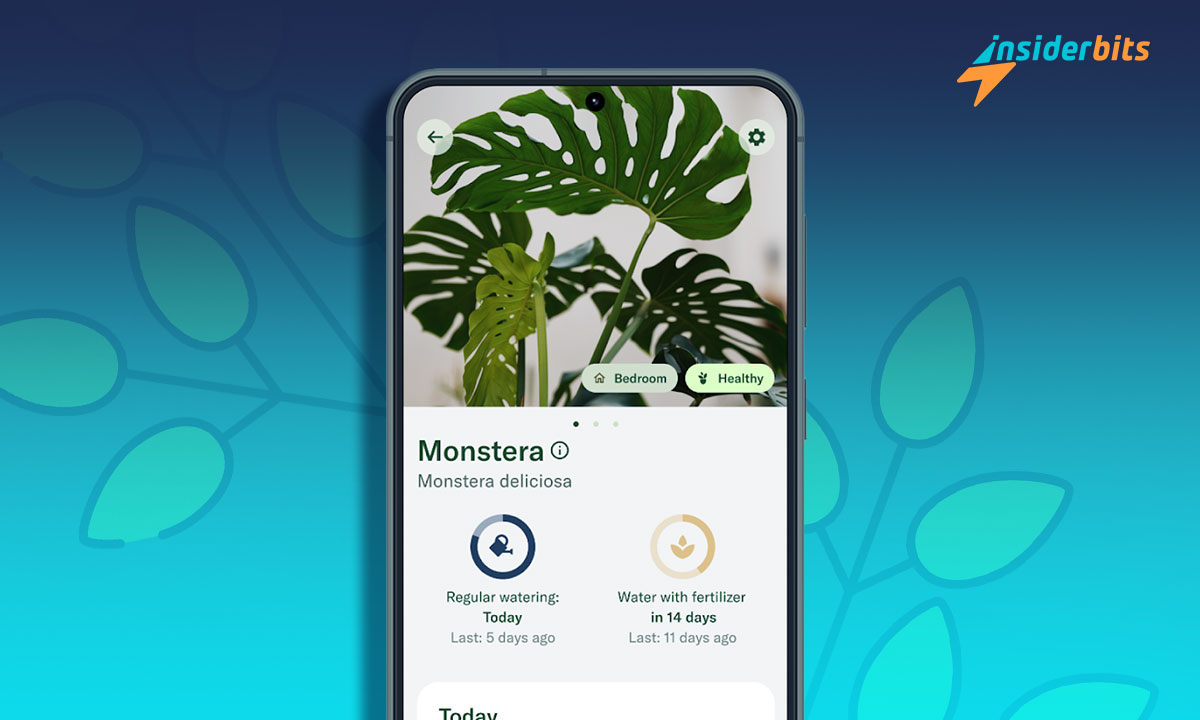The Best Apps For Your Winter Plants 2 The Best Apps For Your Winter Plants 1