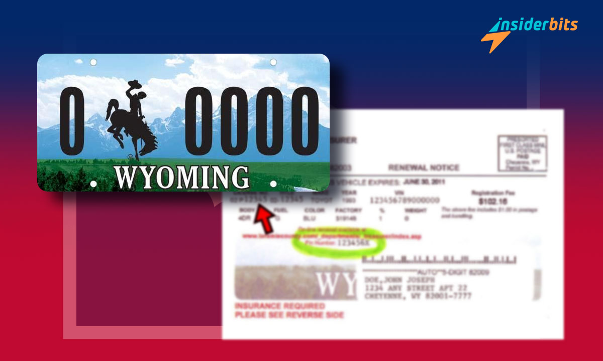 Wyoming License Plate