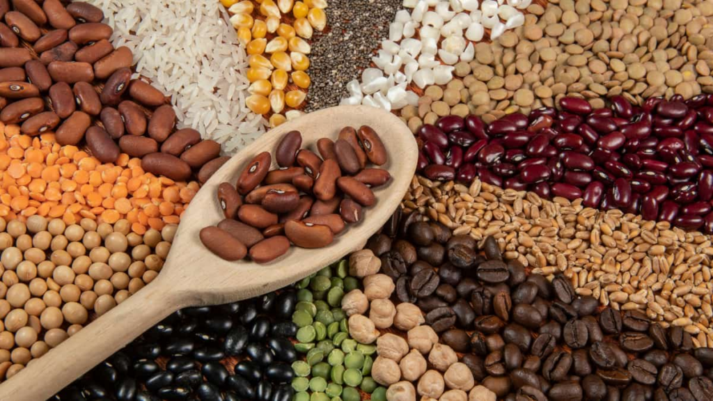 The Rise of Plant-Based Diets: Top Vegan Apps to Guide Your Journey 5 Top Vegan Apps