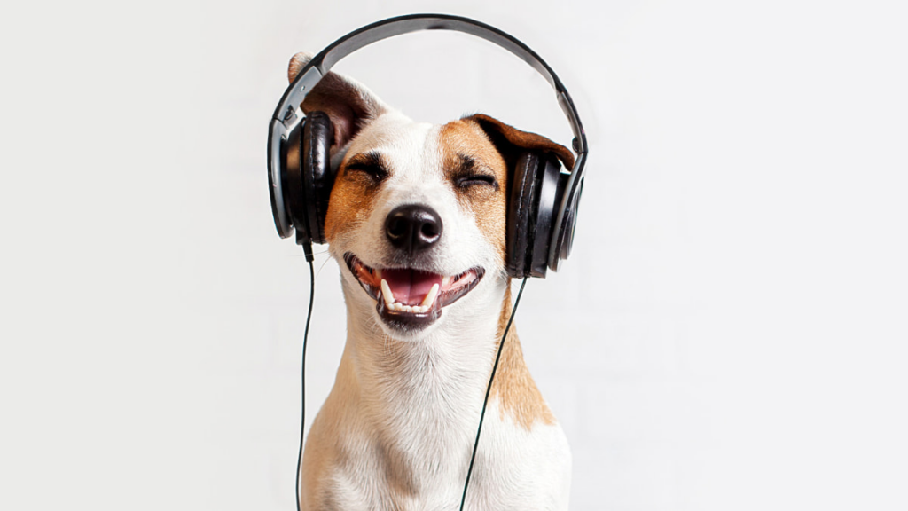 Exploring New Music: The Best Music Discovery Apps of 2025 1 Music Discovery Apps