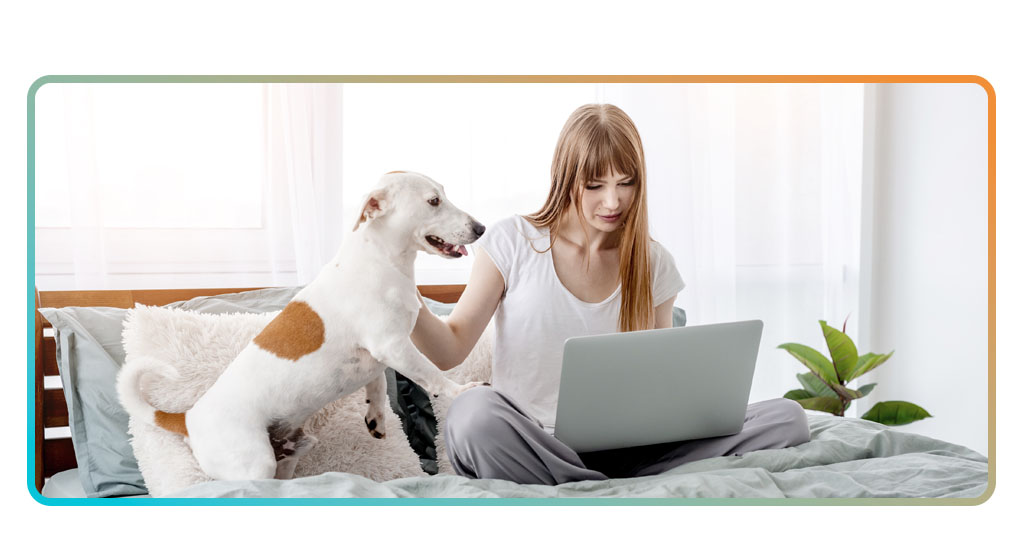 Pet health insurance: affordable coverage for your pets 2 Pet Health Insurance