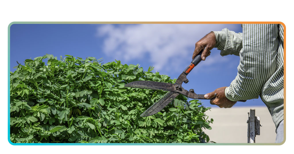 Landscaping & Groundskeeping: Free Training for Property Jobs 1 Groundskeeping